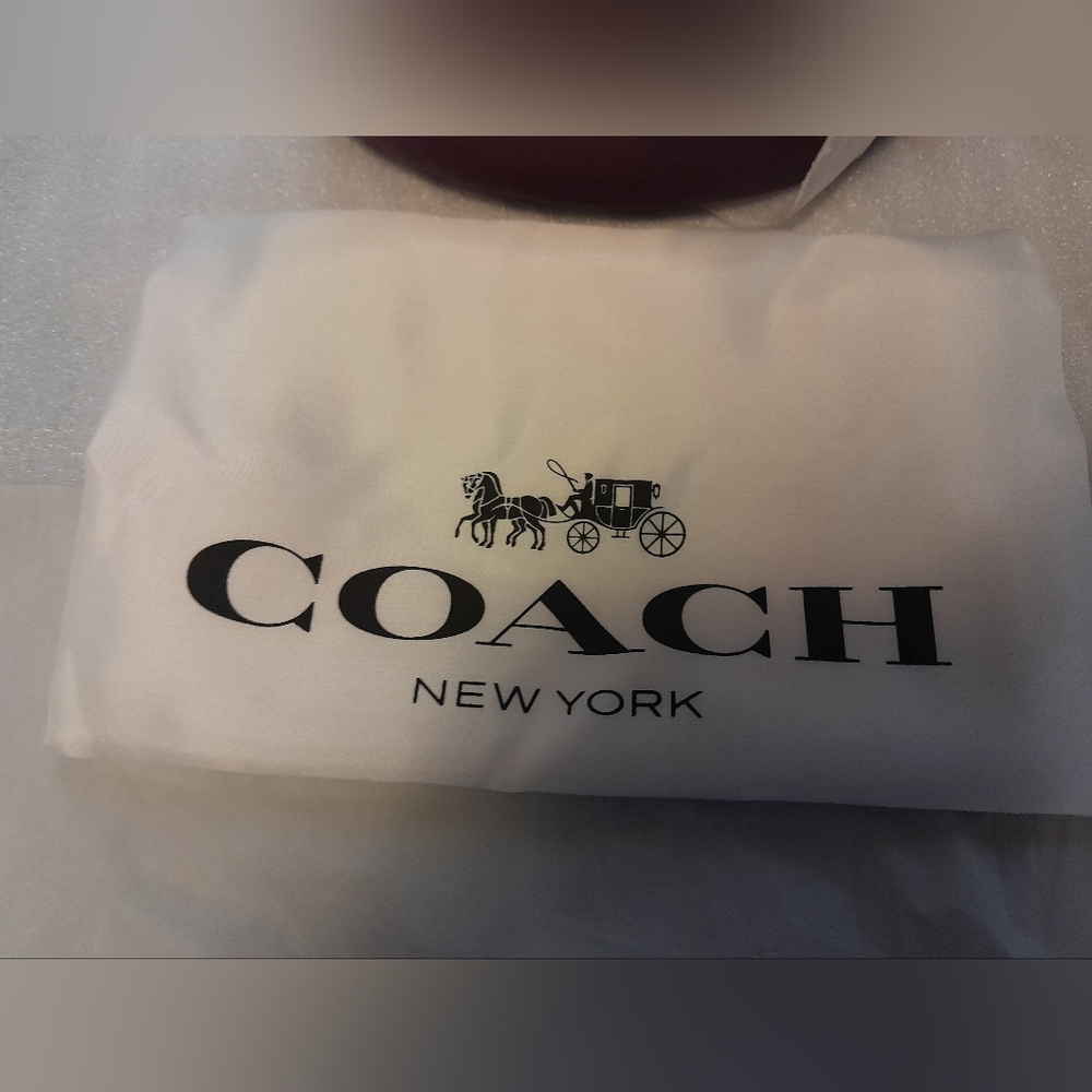 New Coach Owl Halloween Bucket Bag With Silky Dust Cover NWT - Picture 9 of 12